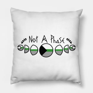 Not A Phase - Demiromantic pride edition - Pillow