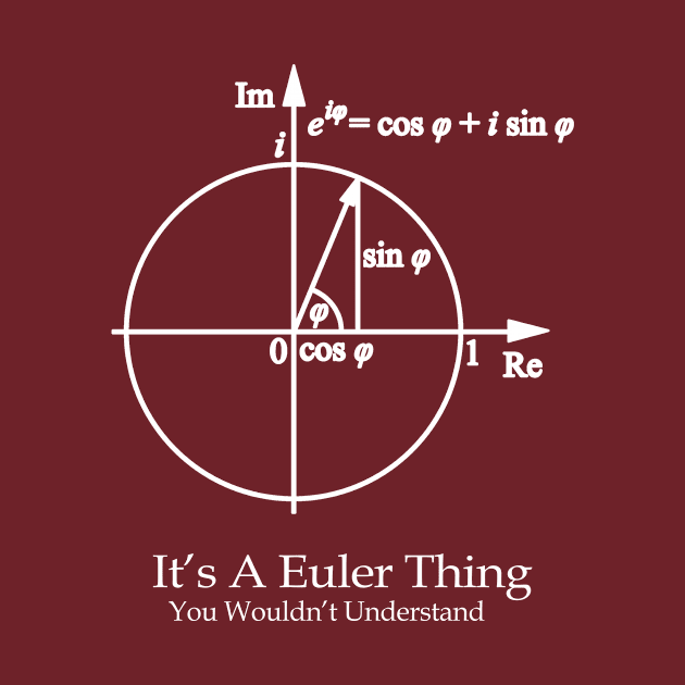 It's A Euler Thing You Wouldn't Understand by RangerTees