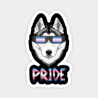 Siberian Husky Transgender Flag Lgbt Magnet