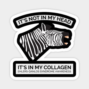 Ehlers Danlos Awareness It's Not In My Head Magnet