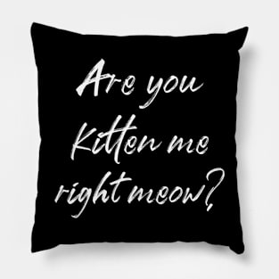 Are you kitten me right meow? Pillow