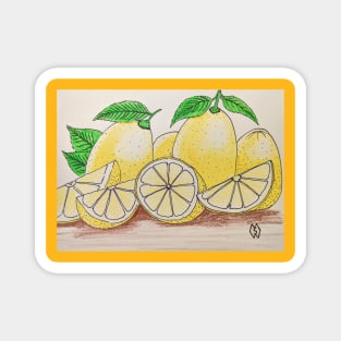 Lemons study Magnet