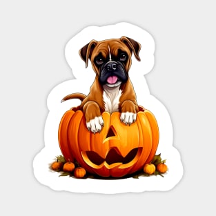 Boxer Dog inside Pumpkin #2 Magnet