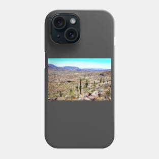 Apache Trail Scenic Drive View Phone Case