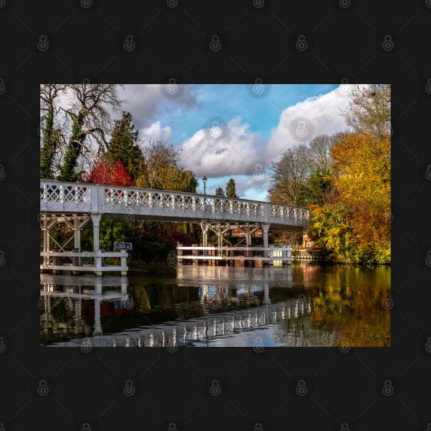 Autumn Colours At Whitchurch Toll Bridge by IanWL