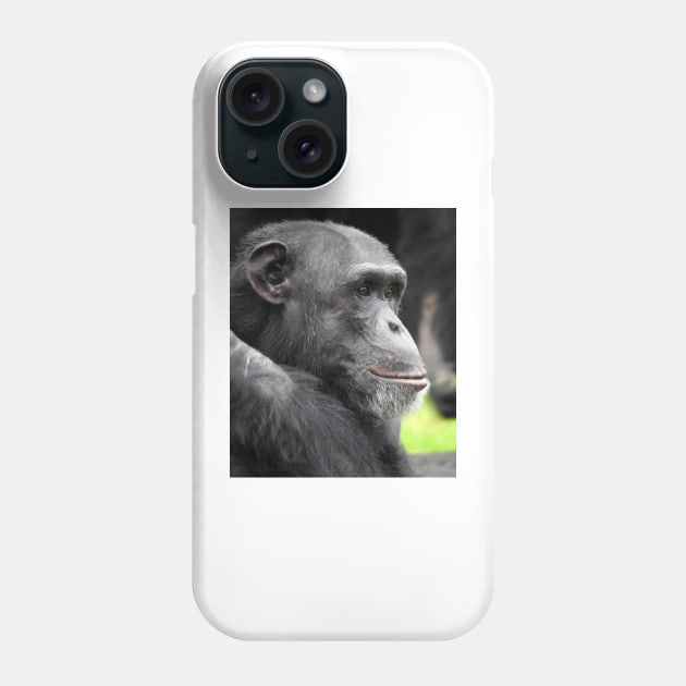 Chimpanzee Phone Case by kirstybush