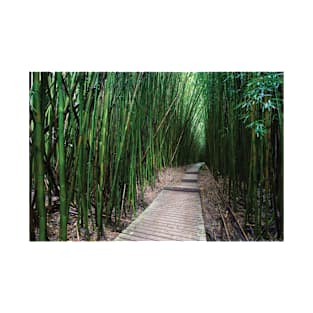 Boardwalk Through Bamboo Pipiwai Trail Hakeakala National Park Kipahulu T-Shirt