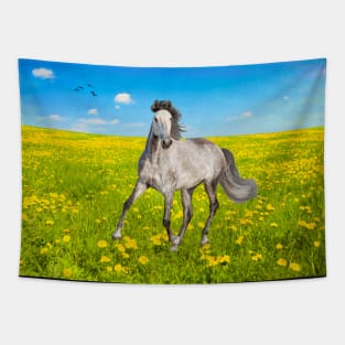 Dapple Gray Horse in Spring Field Tapestry