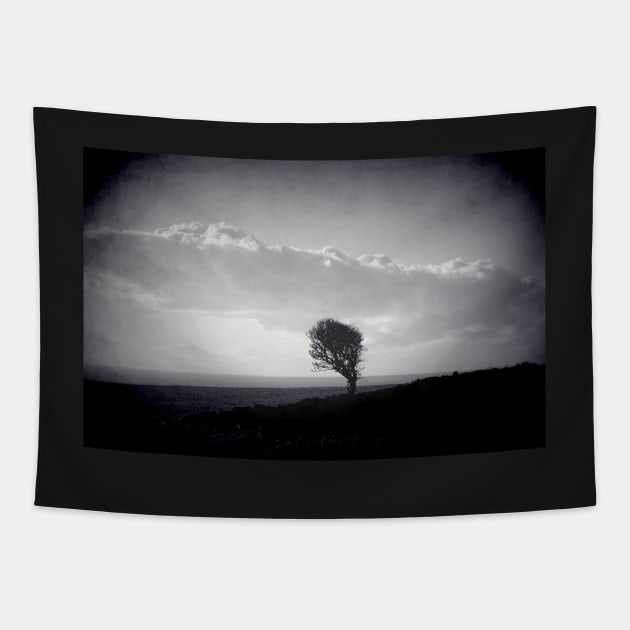 Windblown ( a windblown tree) Tapestry by rosedew