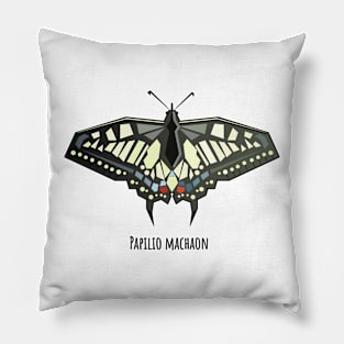 Papilio machaon swallowtail butterfly Pillow