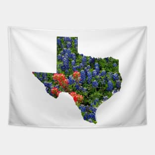 Red and Bluebonnets Blooming in Hillcountry fields in the state of Texas Tapestry