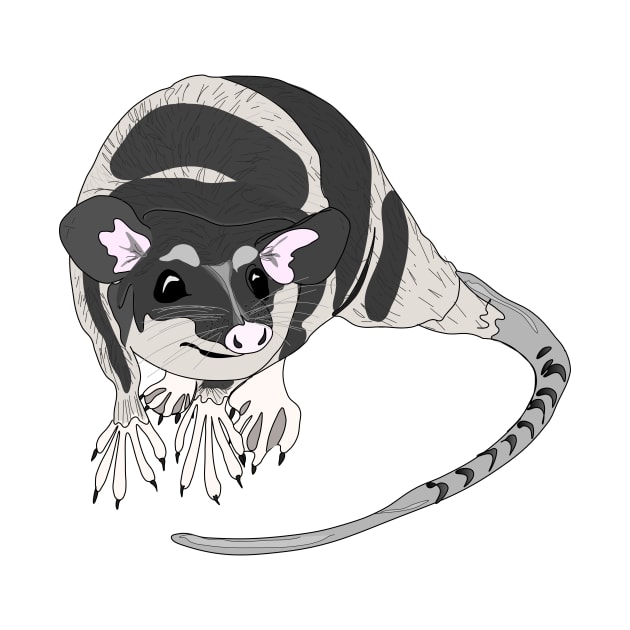 Yapok sarigue aquatic oppossum by FabuleusePlanete