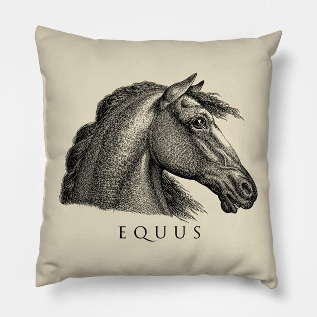 EQUUS Pillow by Cre8tiveSpirit