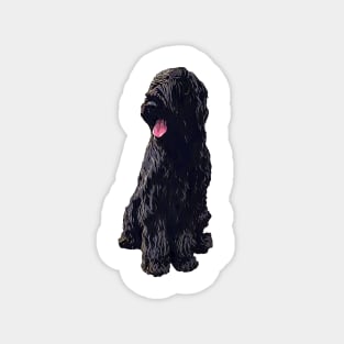 Briard Dog - Black Beauty Magnet