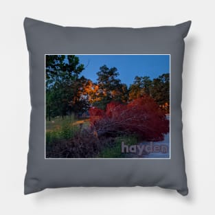 Hayden Pillow