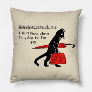 "I don't know where I'm going but I'm gay" cat meme Pillow