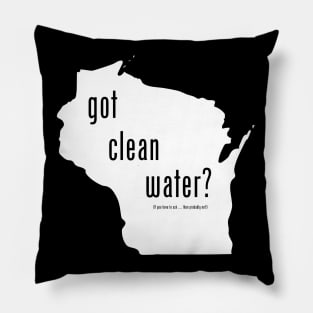 WI-Got Clean Water ?(Pry Not) Pillow