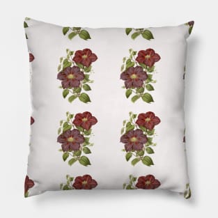 Vintage Flower Print Pillow