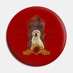 Sweet golden retriever Pin