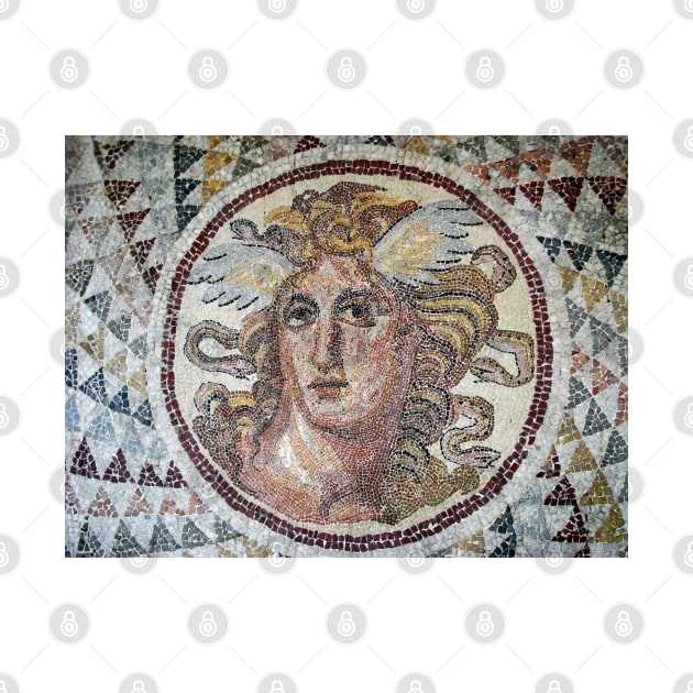 Ancient Medusa Head Mosaic Archaeological Design by RetroGeek