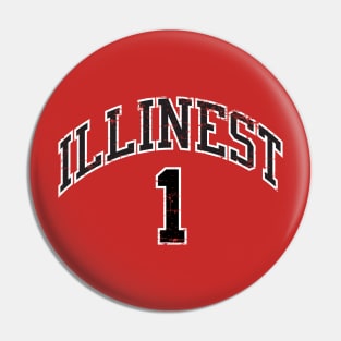 Illinest Bulls mashup Pin