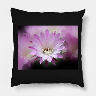 Pink Cactus Flower in the Rain #2 Pillow