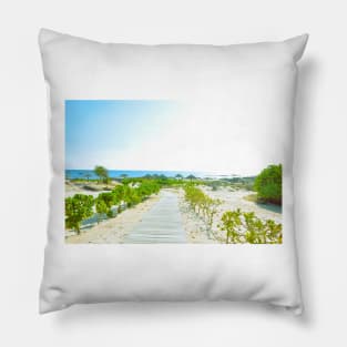 Pathway to the beach in Oman Pillow