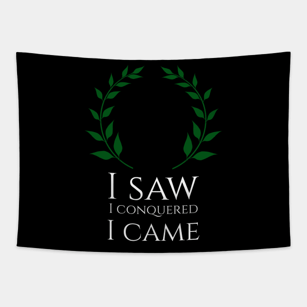 Funny I Saw I Conquered I Came Julius Caesar Quote SPQR Tapestry by Styr Designs