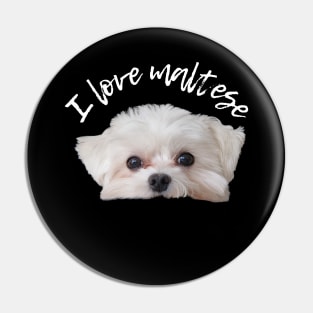 I love maltese Pin