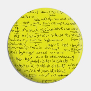 Math Teacher's Equation Delight Pin