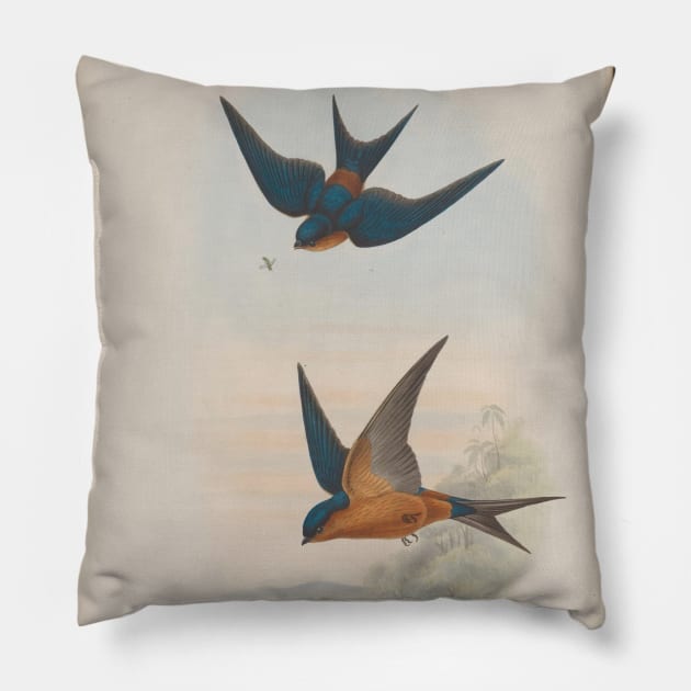 Swallows Pillow by pocketlama