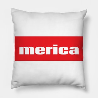 Merica Words Millennials Use America Pillow