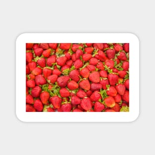 Fresh strawberries Magnet