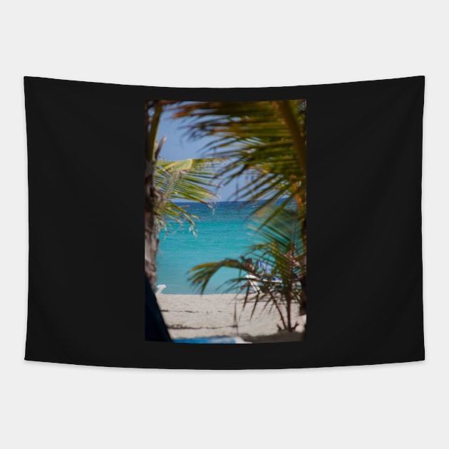 Punta Cana Tapestry by Wenby-Weaselbee