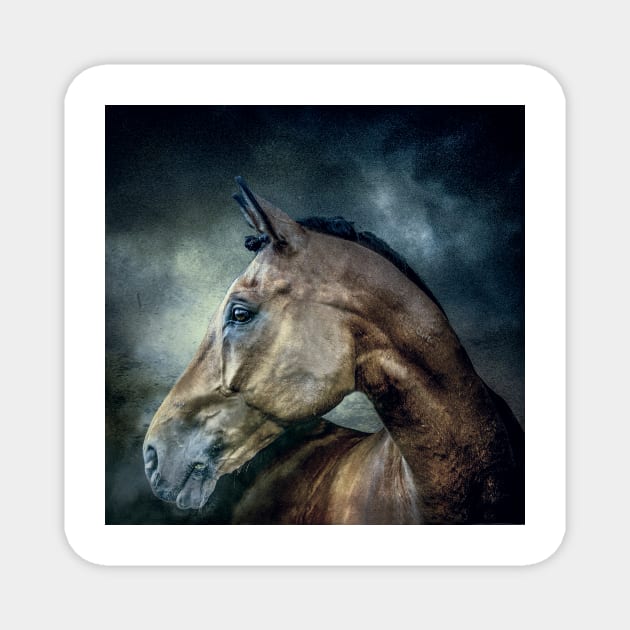 Stallion Magnet by Tarrby