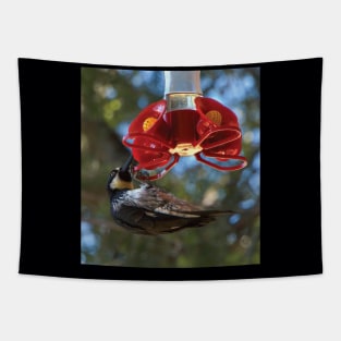 Acorn Woodpecker Raiding A Hummingbird Feeder Tapestry