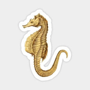 Hippocampus seahorse Magnet