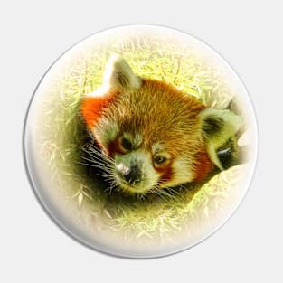 Red panda Pin