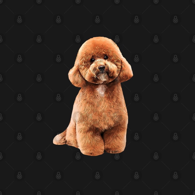 Toy Poodle Gorgeous Mini Dog Teddy by ElegantCat