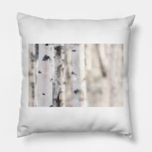 Birch Pillow