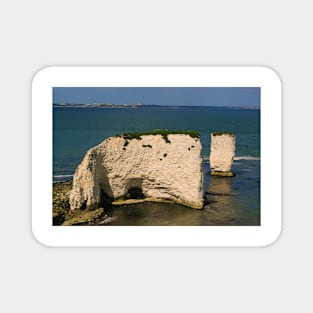 Old Harry Magnet