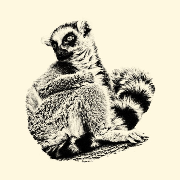 Lemur by Guardi