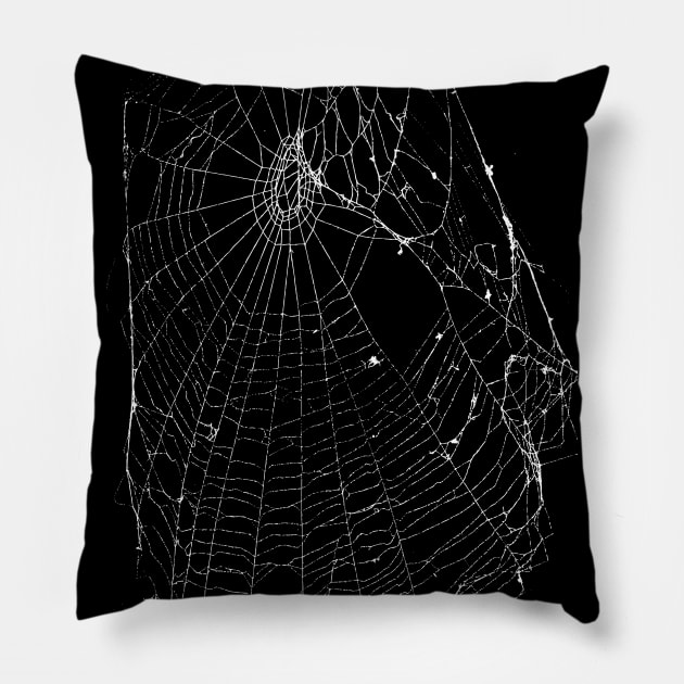 Spider Web Pillow by zeljkica