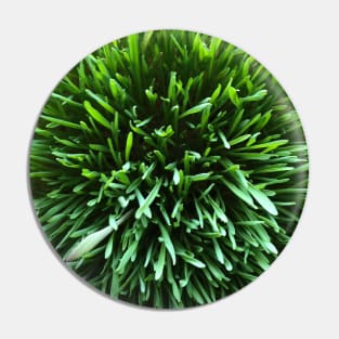 Green Grass Close-Up (Sabze) Pin