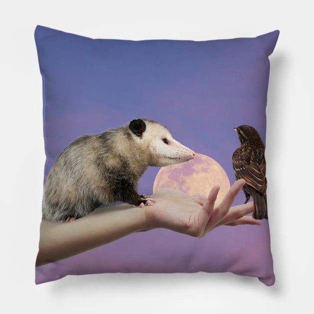 The opossom love Pillow by ManifestYDream