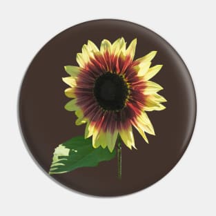 Sunflowers - Sunflower Ring of Fire Pin