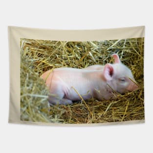 Drowsy Piglet Tapestry