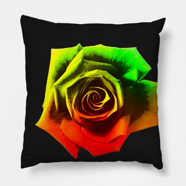 Rosetta Pillow by BoneArtPetite