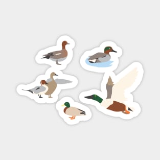 Cute ducks Magnet