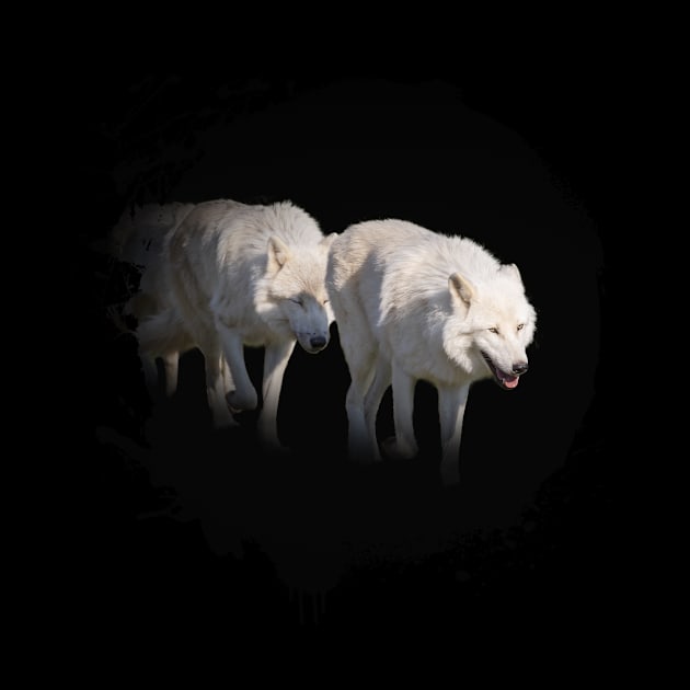 White Wolf Animal Wildlife Jungle Nature Freedom Forest by Cubebox